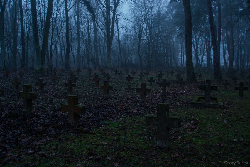 Cmentarz garnizonowy w Modlinie. Upiorne zdjęcia opuszczonej...