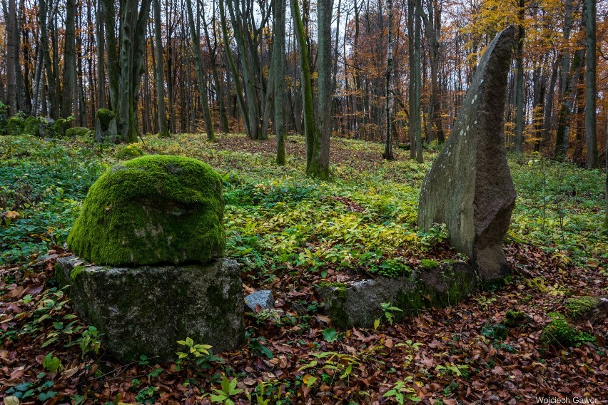 Cmentarz pseudo megalityczny w Markowie