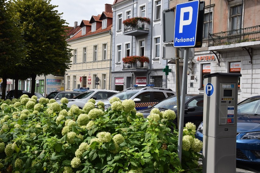 Milionowe zyski z pleszewskiej Strefy Płatnego Parkowania!