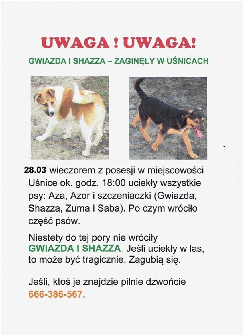 Psy zaginęły w Uśnicach