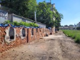 Kraków. Park przy Karmelickiej to już łąka. Trwa też renowacja muru