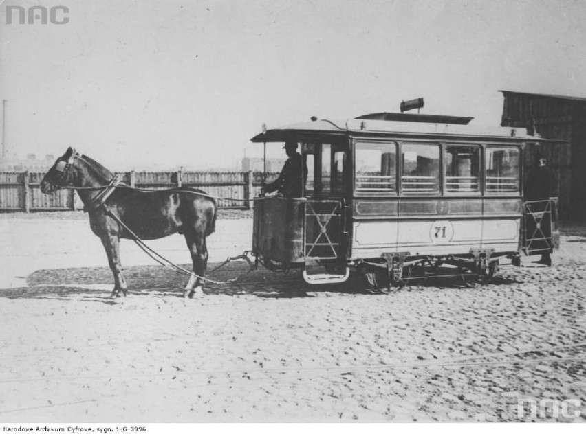 Zaczęło się w 1866 roku od tramwajów konnych, które mogły...