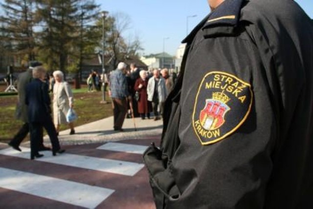 W nocy z 28 na 29 maja na krakowskich Plantach oźrebiła się ...