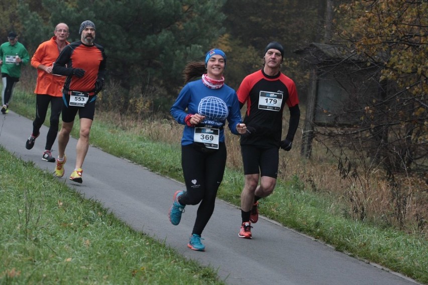 33. Toruń Marathon. Kolejne zdjęcia z trasy [ZDJĘCIA cz.3]