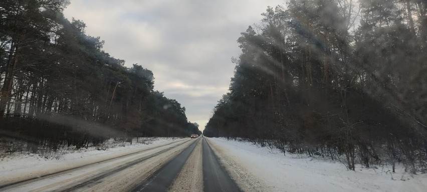 Zima w Tomaszowie na zdjęciach. Ślisko i niebezpiecznie na drogach, będą kolejne opady śniegu [ZDJĘCIA]