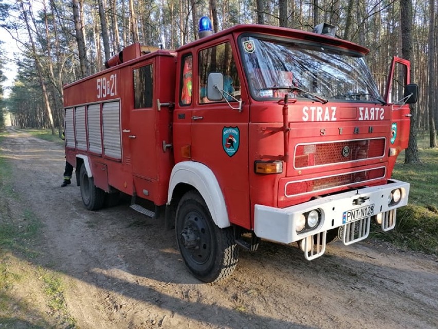 Powiat nowotomyski: Pożar lasu pod Miedzichowem [ZDJĘCIA]