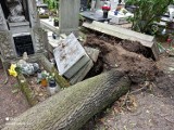 Poważne skutki burzy w Toruniu. Wichura nie ominęła cmentarza przy ul. Antczaka. Zobaczcie kolejne zdjęcia!
