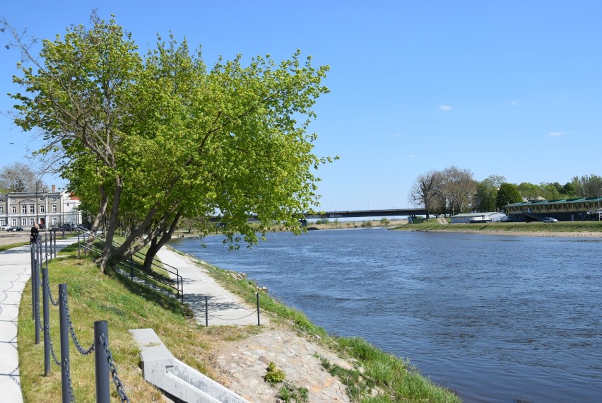 Ścieżka nad Wartą w Gorzowie: idealne miejsce na spacer albo rowerową przejażdżkę