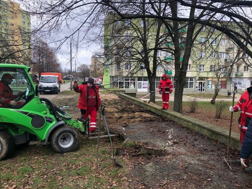 Tak teraz wygląda uporządkowany teren przy ulicy Pawiej w...