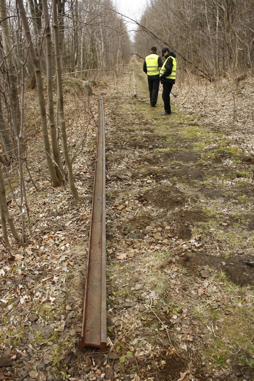 Kradzież torów. Pilnują linii 308, by jej nie rozkradli