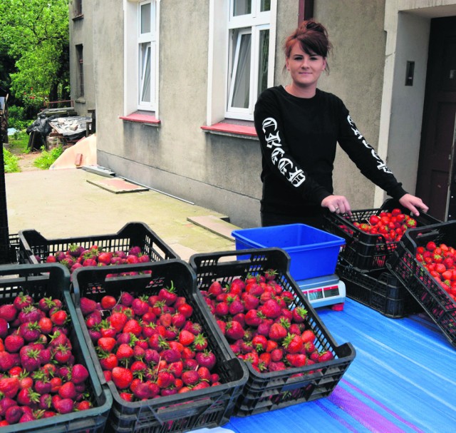 Daria Białkowska sprzedaje truskawki  z własnej plantacji z Katarzynina