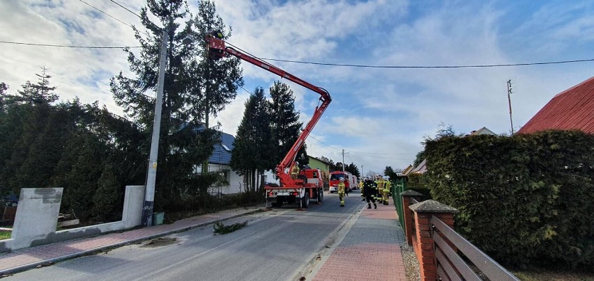 Szamotuły. Służby znów w terenie. Trwa usuwanie skutków wichury