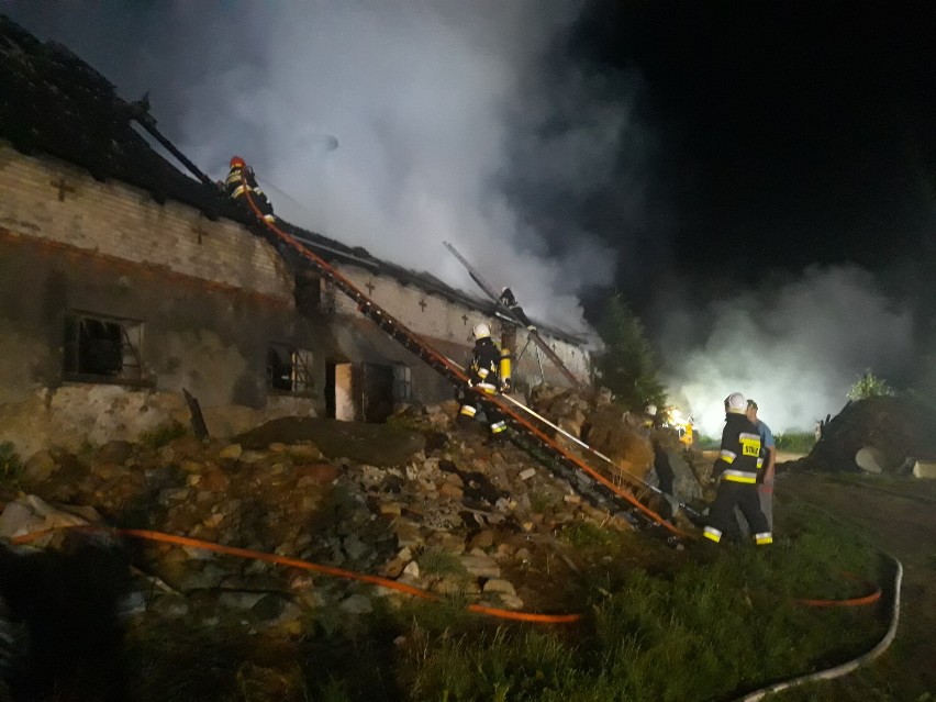 Poważny pożar w Żukowie - padło 19 sztuk bydła