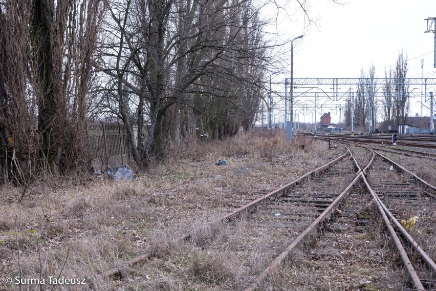 Przy ulicy Barnima w Stargardzie. "Tu na razie jest ściernisko..." ale będzie duży parking [FOTOREPORTAŻ]