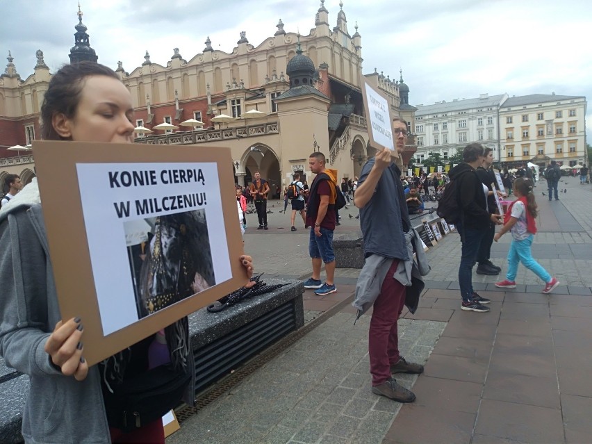 Kraków. Kolejna awantura na proteście przeciw dorożkom. Interweniowała policja