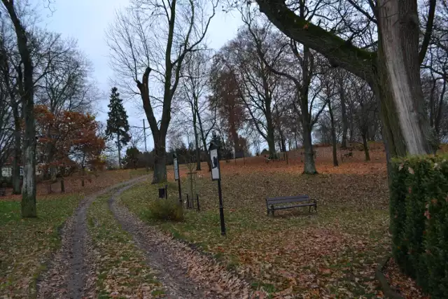 Arciszewo było siedzibą rodu Arciszewskich. Żył tutaj m.in. Krzysztof Arciszewski, który był generałem artylerii wojsk holenderskich i wojsk Rzeczypospolitej, a także poetą i pisarzem.