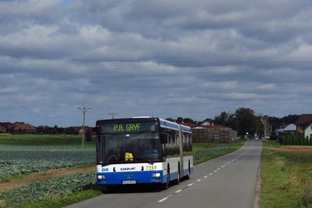 Jak zapewniają P.A. Gryf, póki co ceny biletów nie wzrosną, a połączeń będzie więcej!