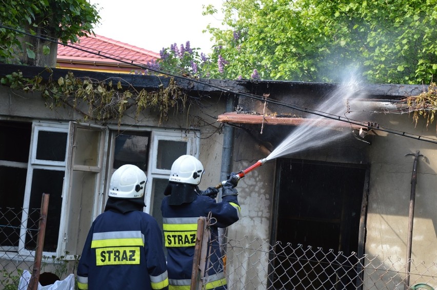 Pożar w Zelowie. Do wybuchu butli gazowej doszło w domu przy...