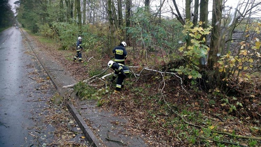 Nawałnica w Rybniku łamała drzewa, latarnie i słupy energetyczne
