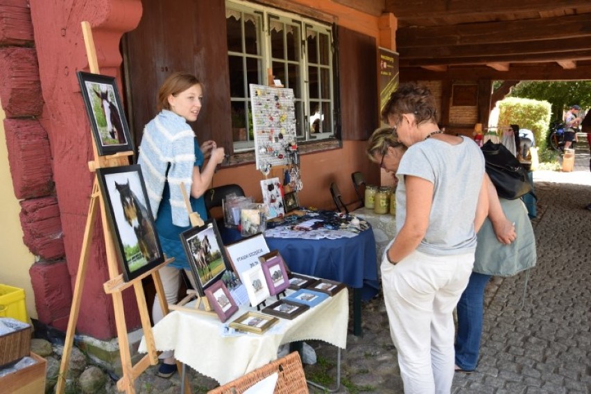 Trutnowy: Pierwszy dzień IV Jarmarku Żuławskiego ściągnął miłośników historii, regionalnych produktów i warsztatów [ZDJĘCIA, WIDEO]