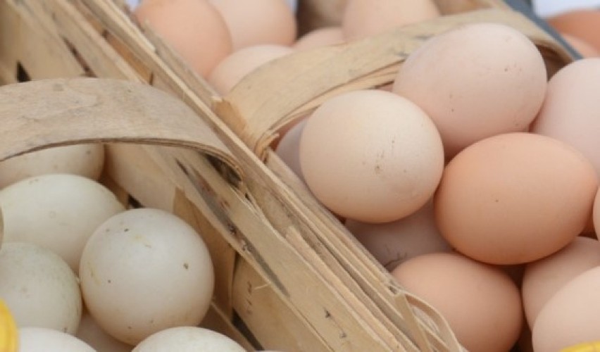 Kolejne skażone jajka trafiły do znanych sieci sklepów. Koniecznie sprawdź i zwróć je do sklepu [OSTRZEŻENIE]