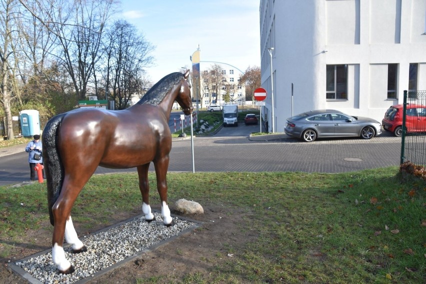 Figura konia stanęła przed Centrum Zdrowia Matki i Dziecka w...