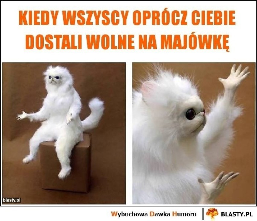 Memy o majówce podbijają internet. Tak świętują Polacy! Zobacz najlepsze obrazki