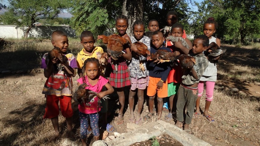 "Kura dla dzieci z Madagaskaru" - akcja Fundacji Księdza...