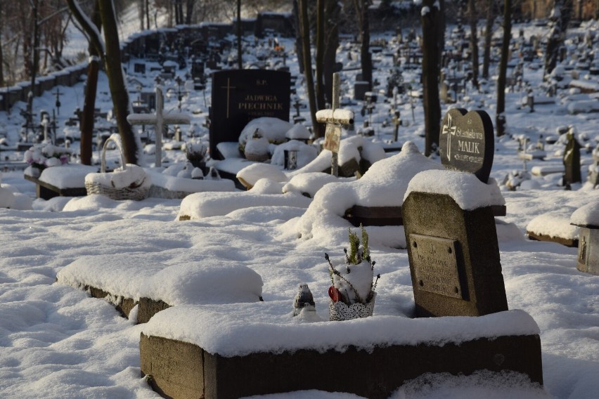 Cmentarz przy ul. Piastowskiej w Żaganiu jest wyjątkowo...