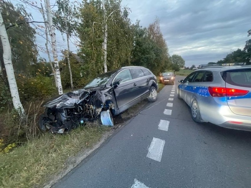 Rozbił auto na drzewie i dalej jechał