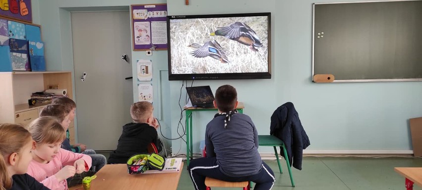 Gmina Oborniki. Uczniowie szkoły w Kiszewie dokarmiali ptaki zimą 