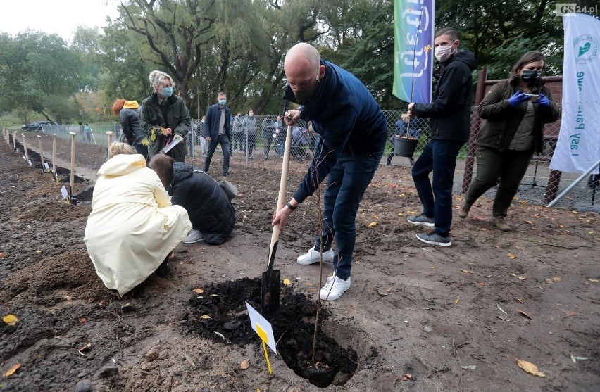 Akcja "Jedno dziecko, jedno drzewo" w Szczecinie.