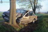 Wypadek w Szerzawach na drodze Mogilno - Baba. Pijany kierowca uderzył w drzewo [ZDJĘCIA]