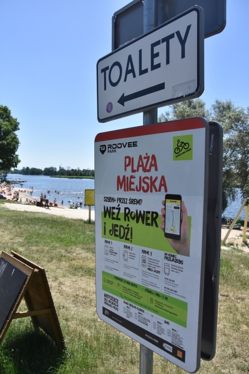 "Przyducha" na Jeziorze Grzymisławskim! Kąpielisko na Plaży Miejskiej w Śremie zamknięte!