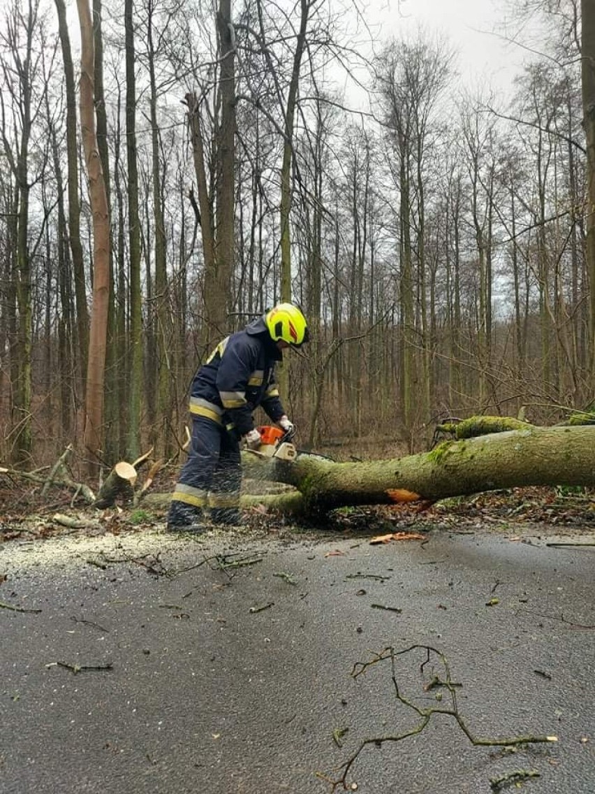 Powalone drzewo na drodze Sichów - Stanisławów
