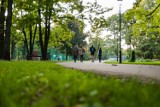 Kraków. Urzędnicy planują duży park, ale muszą wykupić pod niego hektary