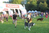 Puchar Polski w Dogtrekkingu – w Parku Śląskim w Chorzowie odbędzie się bieg z psami. Nadal trwają zapisy na wydarzenie