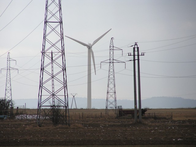 Czy odnawialne źródła energii wyprą tradycyjnych dostawców?