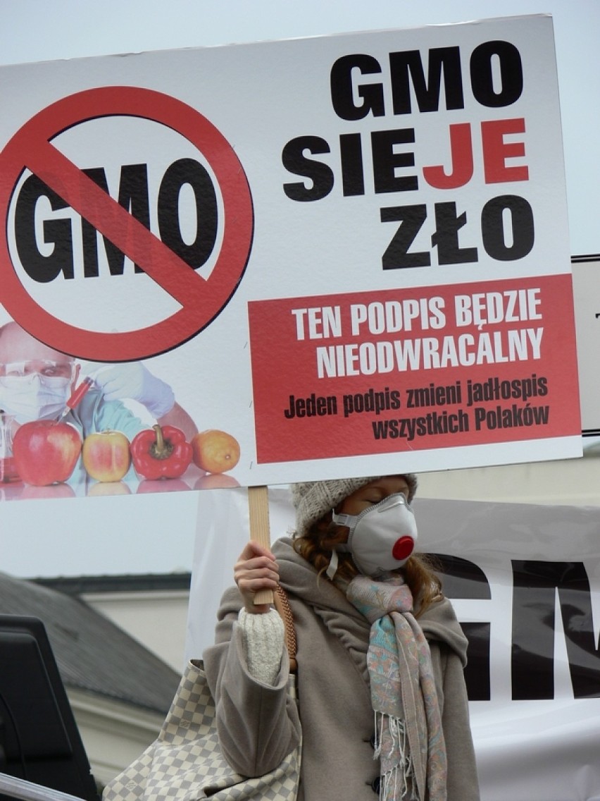 GMO sieje ZŁO