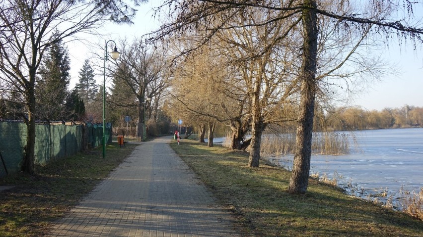 Promenada wzdłuż jeziora Rogozińskiego jest jednym z...