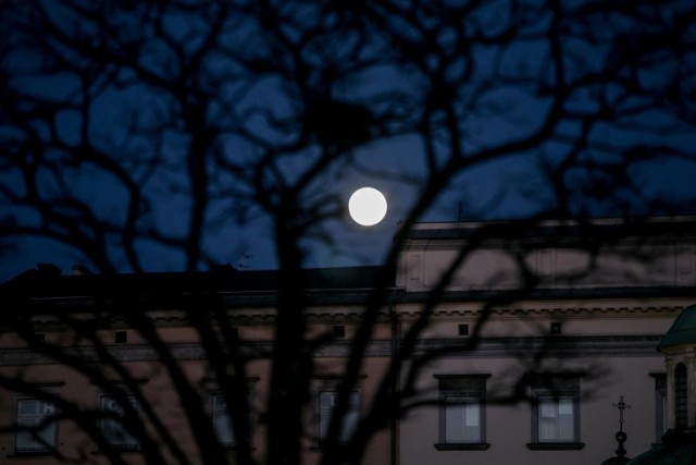 Wilczy Księżyc - niezwykła pełnia księżyca 28 stycznia 2021 roku.