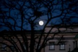 Pełnia Księżyca - styczeń 2021. Niezwykła pełnia tzw. Wilczy Księżyc - pierwsza pełnia w 2021 roku. Gdzie i jak oglądać?