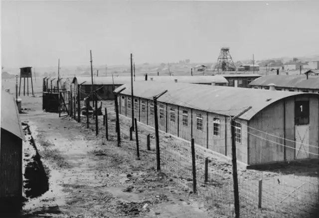 Obóz w Trzebini Niemcy utworzyli w 1942 roku. Jako filia KL Auschwitz zaczął funkcjonować na początku sierpnia 1944 r. Deportowani tutaj z Auschwitz więźniowie byli przymusowo zatrudnieni przy rozbudowie rafinerii ropy naftowej firmy Erdöl Rafinerie Trzebinia GmbH