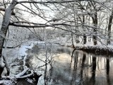 Bajeczne widoki nad Iną powyżej Goleniowa. Śnieżna zima to jest to!