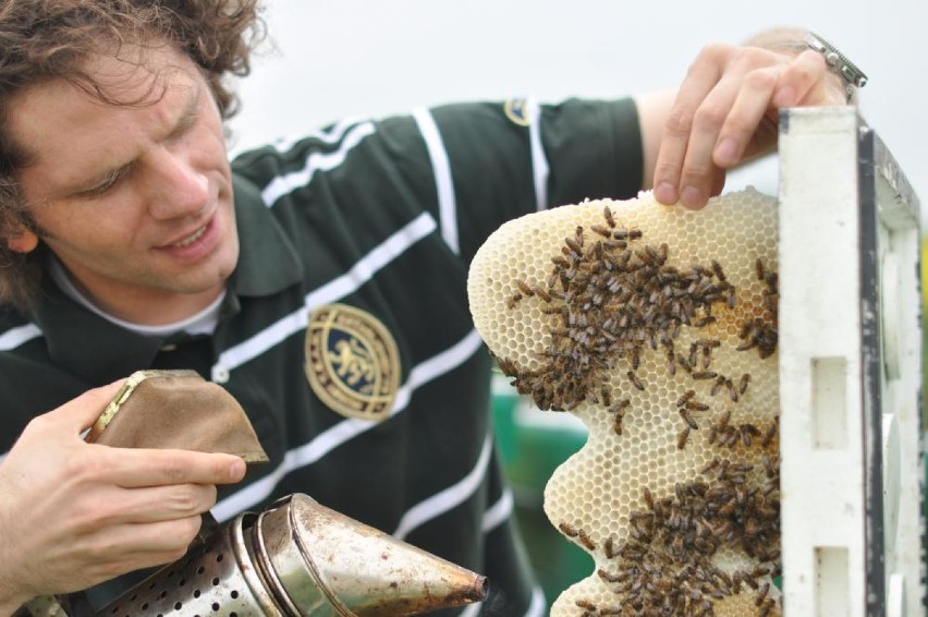 Pszczoły tej rodzinie towarzyszą prawie od stu lat (ZDJĘCIA)