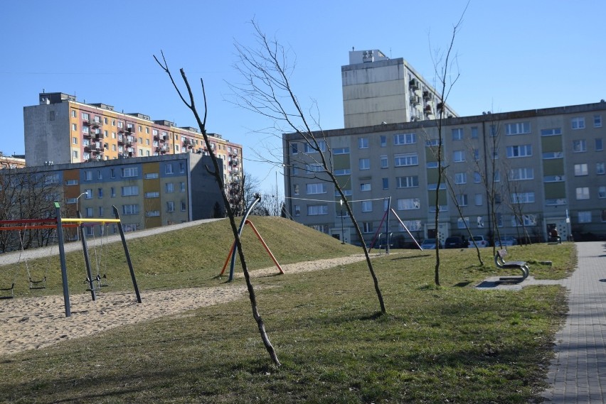 Drzewa przy ul. Dunikowskiego zostały posadzone w 2018 roku.