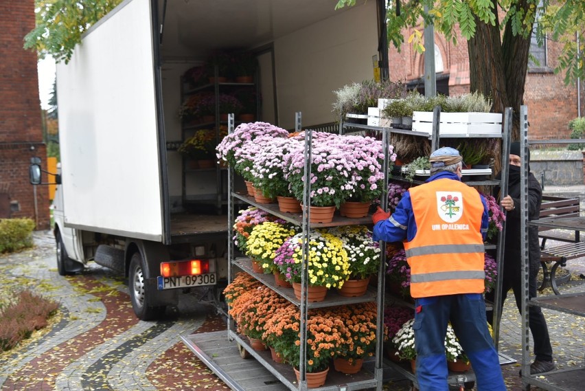 Opalenica. Gmina zakupiła kwiaty od lokalnych producentów