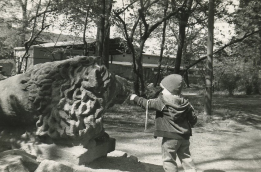 Dwie figury kamiennych lwów wrócą do parku jeszcze latem. Będą znajdować się na pięknym skwerku