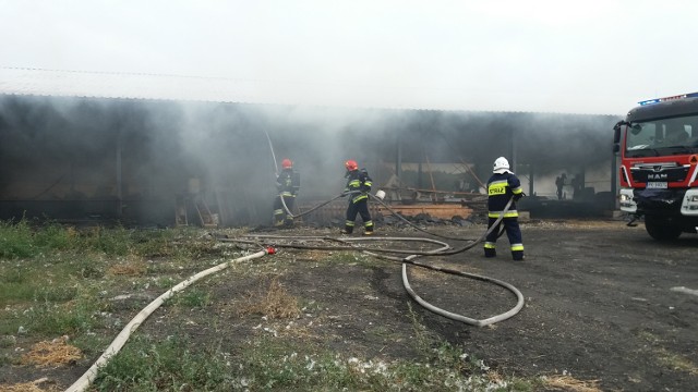 Pożar w Chełmcach pod Kaliszem. Spłonęła wiata do hodowli gęsi