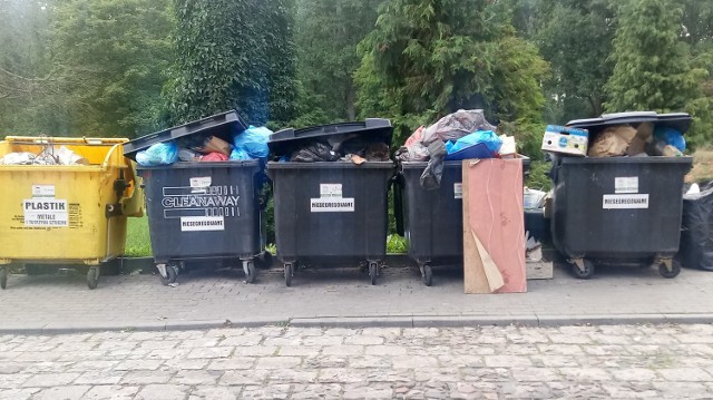 Od nowego roku w gminie Międzyrzecz będzie powszechny nakaz segregowania śmieci. Kto dalej będzie wyrzucał zmieszane odpady, zapłaci dwa razy więcej od innych. Jest też już nowy grafik wywozu śmieci!